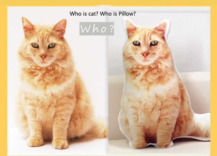 Custom Cat Pillow: Contrast between the product and the original pet